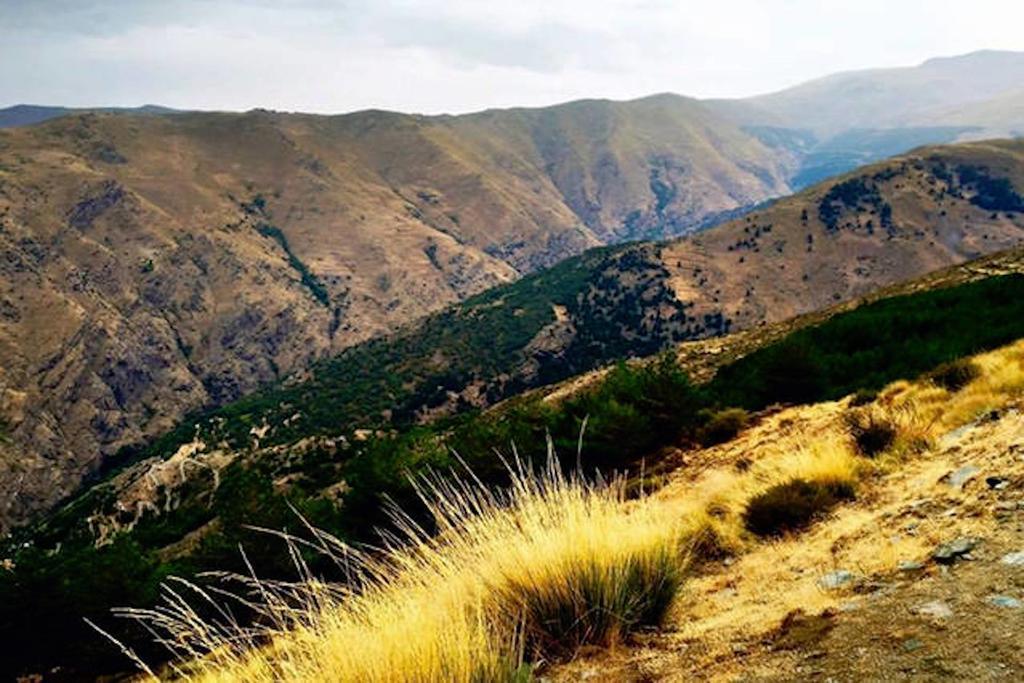 Telecabina Las Catifas Güéjar Sierra Kültér fotó
