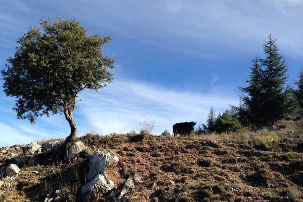 Telecabina Las Catifas Güéjar Sierra Kültér fotó